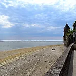 Les Vents Du Large Vanneau Huppe