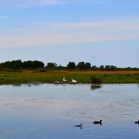 Ferienhaus Les Vents Du Large L'aigrette