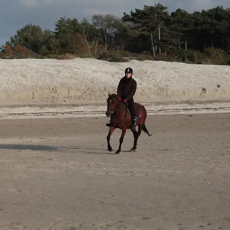 Les Vents Du Large L'aigrette